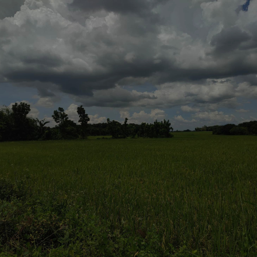 Left Image